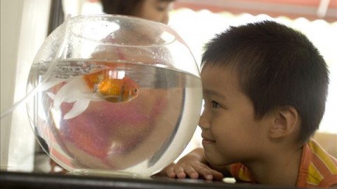 教育驿站——孩子应该去参加戒网瘾学校吗?